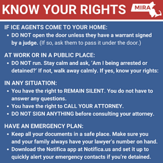 BeyondBondBos's tweet photo. Know Your Rights! Whether you’re a U.S citizen, green card holder, visa student, or of uncertain status, you still have legal rights. Find resources in Haitian Creole, Spanish, &amp; Portuguese at the link in our bio! @mira_coalition #knowyourrights #mira #stopdeportation #resources https://t.co/jRLEOcMSV3