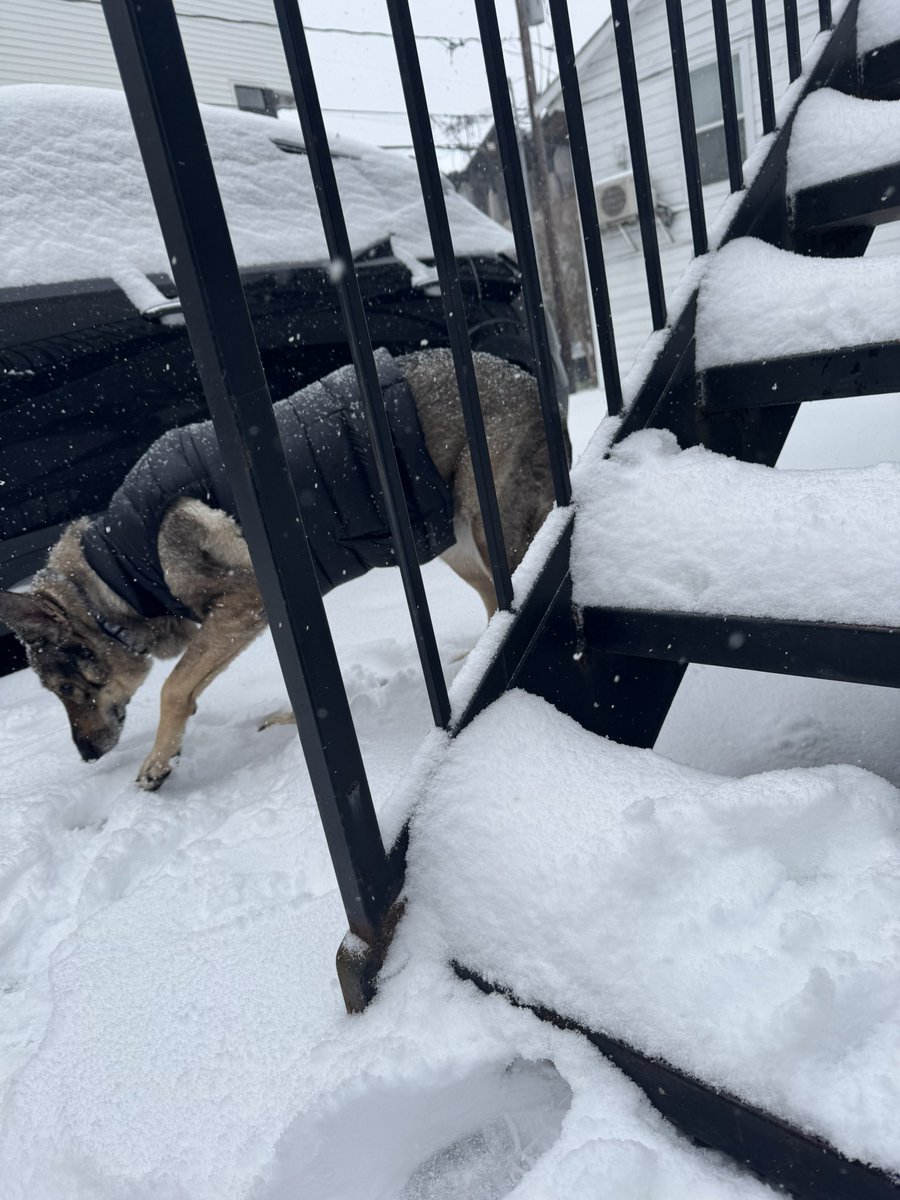 Helen Clancy, MSW tweet media