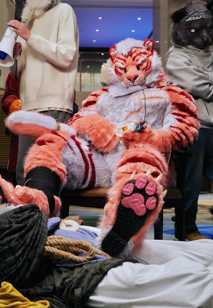REST.
#山君工坊 #FursuitFriday #realisticfursuit #furryart #fursuit