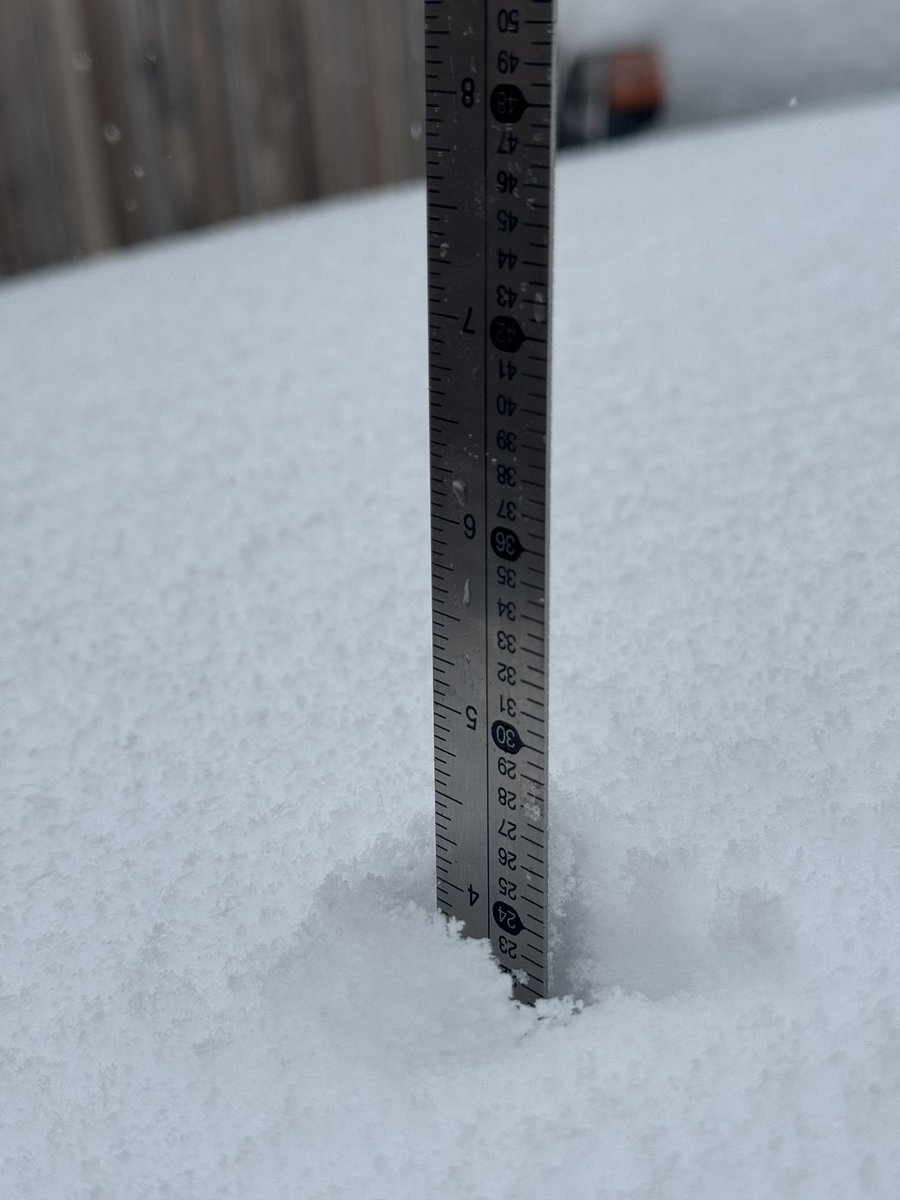 Helen Clancy, MSW tweet media