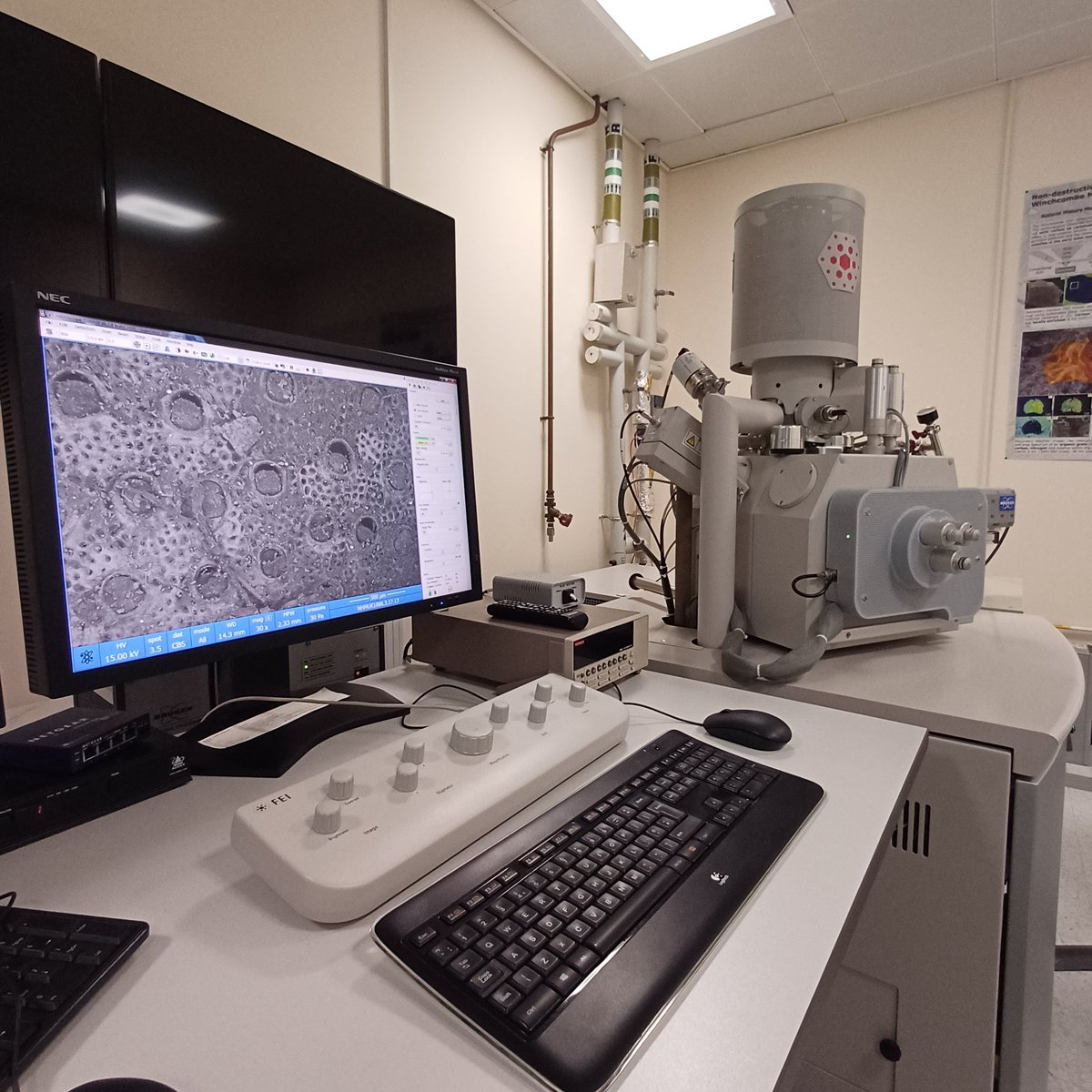 Testing out the Quanta today and back to looking at Cryptosulas