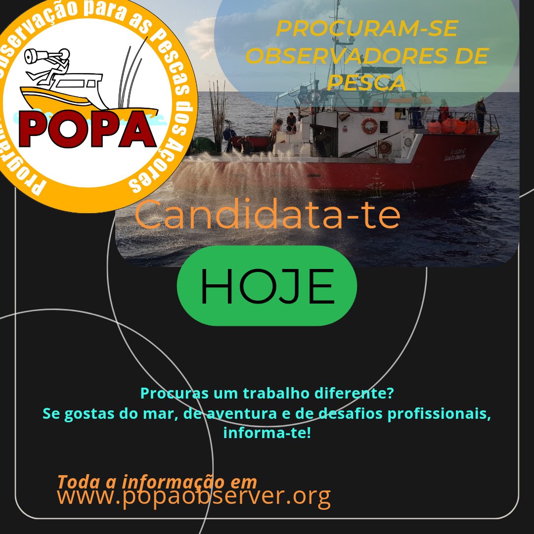 Programa Observação Pescas Açores (POPA) tweet media