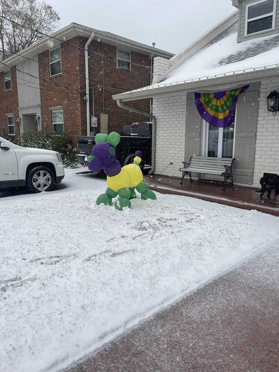 taaysav's tweet photo. Snow day!!! 💜💚💛☃️❄️ @FOX8NOLA @ZackFradellaWx https://t.co/YyDUbToQQh
