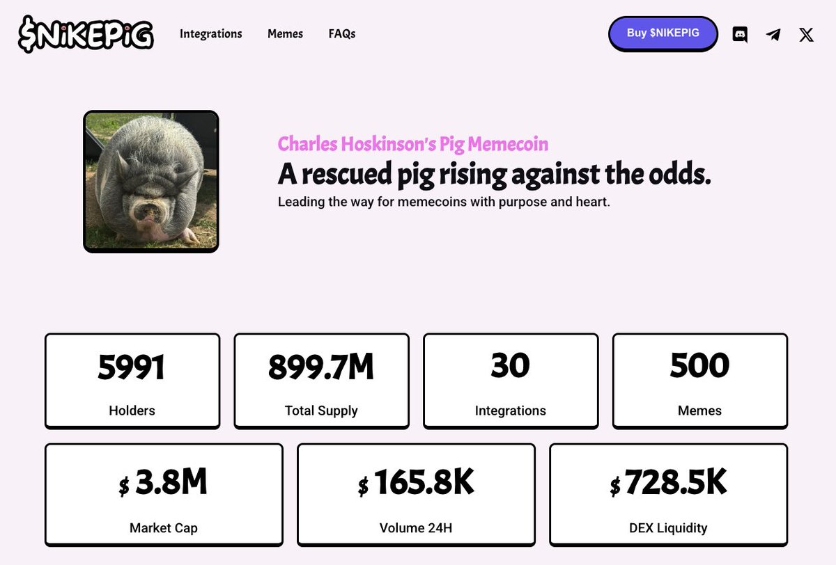 🐽All Things NikePig, All in One Pen🐽

We’ve been cooking up something special behind the scenes, and it's finally here. A brand new website that captures everything NikePig has accomplished, what we’re building now, and where this pig is headed next! 🚀🐷

💻 Crafted with care