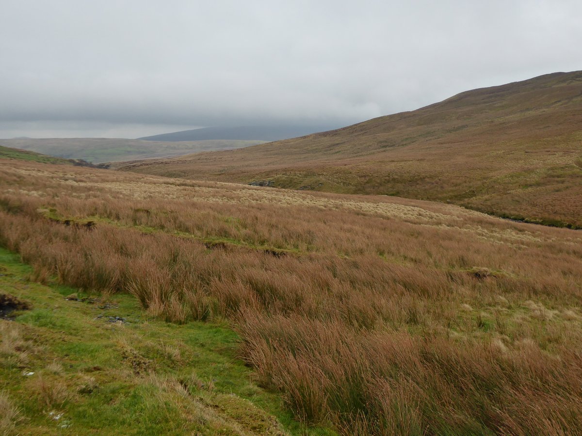 Mike Peacock (@mikepeacock86) on Twitter photo Joined by @eryrinpa to help <a href="/LauraBaugh94/">Laura Baugh</a> with her fieldwork on the Migneint blanket bog in North Wales today. A cold and windy day for some pool GHG work. Let's hope the chambers survive the night. #PeatTwitter Joined by @eryrinpa to help <a href="/LauraBaugh94/">Laura Baugh</a> with her fieldwork on the Migneint blanket bog in North Wales today. A cold and windy day for some pool GHG work. Let's hope the chambers survive the night. #PeatTwitter