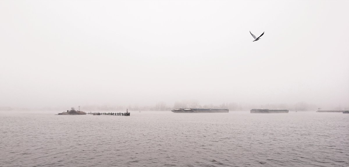 Diederik Smit tweet media