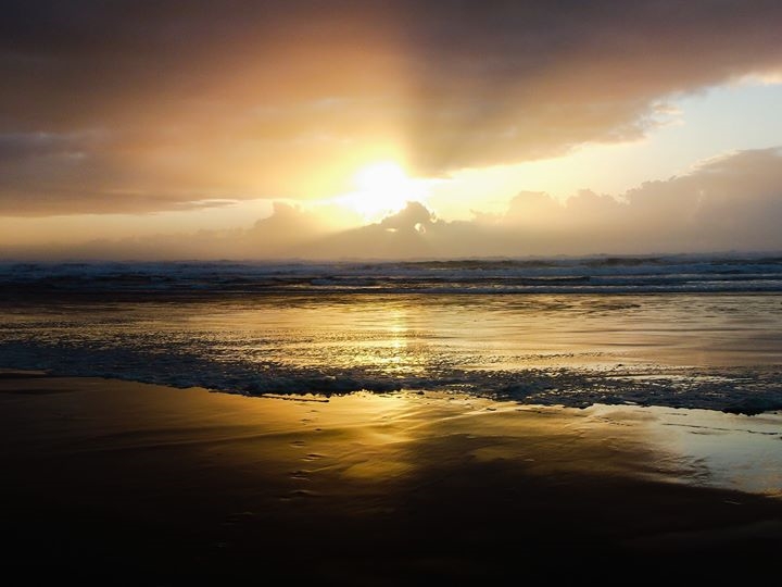 PhoenixTreeRat's tweet photo. Mornin'... #JTPPhotogs https://t.co/YJ6nvxsUJH