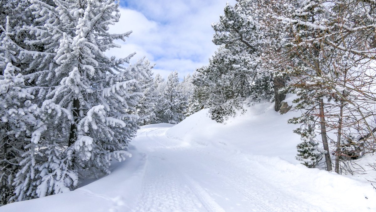 🔴 𝗘𝗡 𝗗𝗜𝗥𝗘𝗖𝗧 🔴
Et si vous preniez un peu de hauteur ? ❄️
#Montgenèvre #MyMontgenèvre #MontgenèvreExpérience