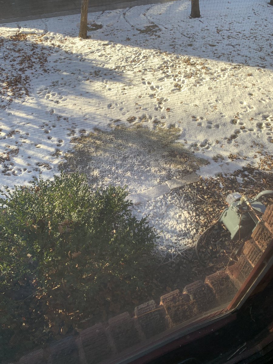 Normally the exhaust from my water heater makes a melted spot in the yard, but today it's a frosty spot. -14F Also, can you tell that the rabbits love when the squirrels drop crab apples for them?