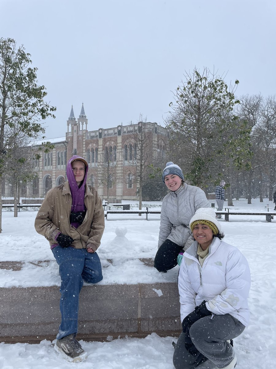 RiceUniversity's tweet image. It’s a hoot in the snow! 🦉✨ Our Owls are enjoying the frosty fun! Snap and share your snowy fun and use #SnowOwls for us to see how you&apos;re spending this wintry day!