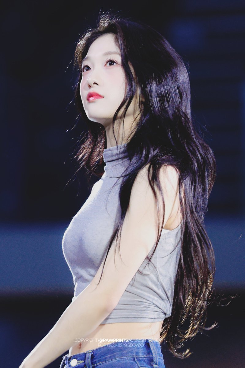 PAWPRINTS_sy's tweet photo. https://t.co/axinxwkMNg