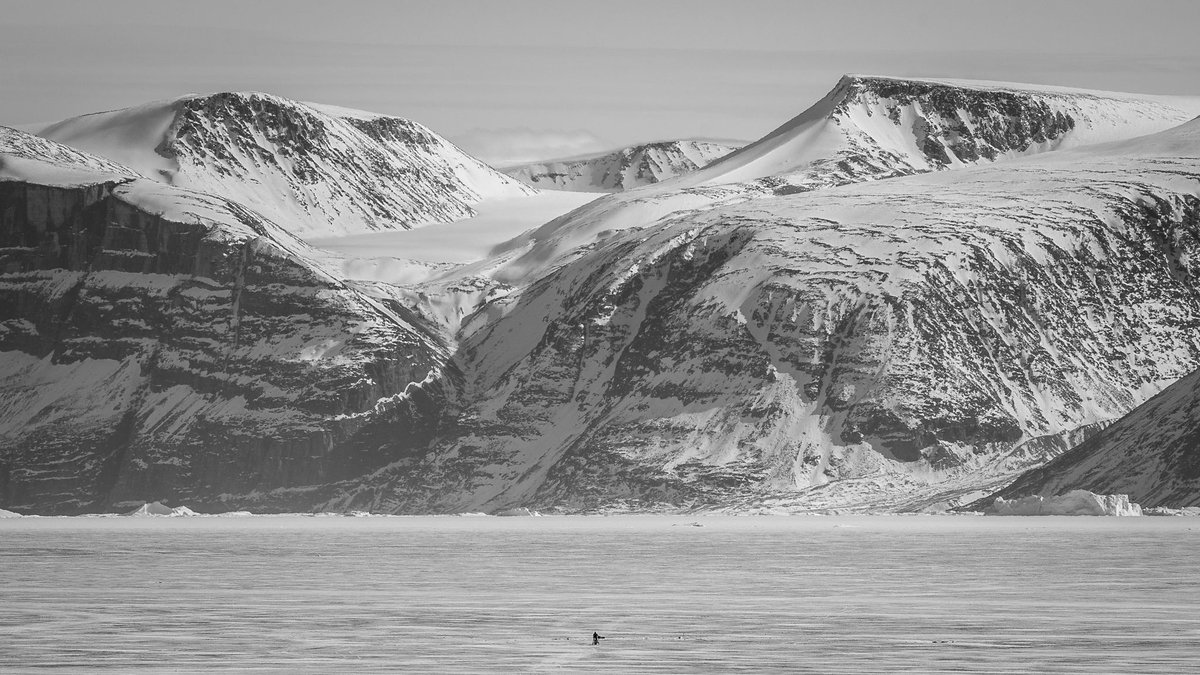 🛢️ #80M estimates that the Jameson Land Basin contains +2.4 - 8.1 billion barrels of liquid hydrocarbon equivalents in place. The project has seen more than 50 years of study by ARCO, and the Govts of #Greenland and #Denmark, with total expenditure estimated at US$125m OTC.BLLYF