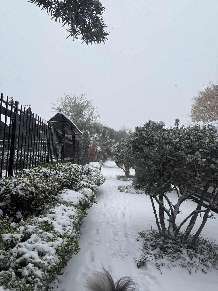 soapslaw's tweet photo. this ain’t Texas. but it is. https://t.co/TbaxhZnXKZ