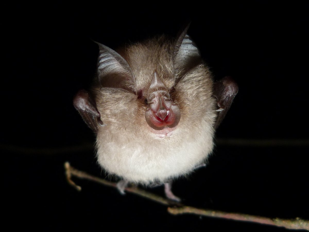 Cronfa Treftadaeth y Loteri Genedlaethol tweet media