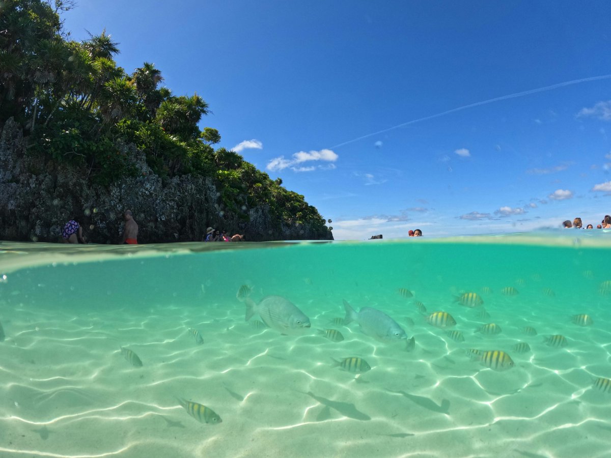 NuovoFaceMag's tweet photo. #Honduras, il Paradiso dei #Caraibi •
Con i suoi paesaggi mozzafiato e i resti Maya, il Paese ospiterà la XIV Centroamérica Travel Market 2025: San Pedro Sula diventerà la capitale del turismo regionale.🌞

👉 https://t.co/W9s061dtLH

@visitcentroamer #Centroamérica #SafeForSure https://t.co/pH4axITiUI
