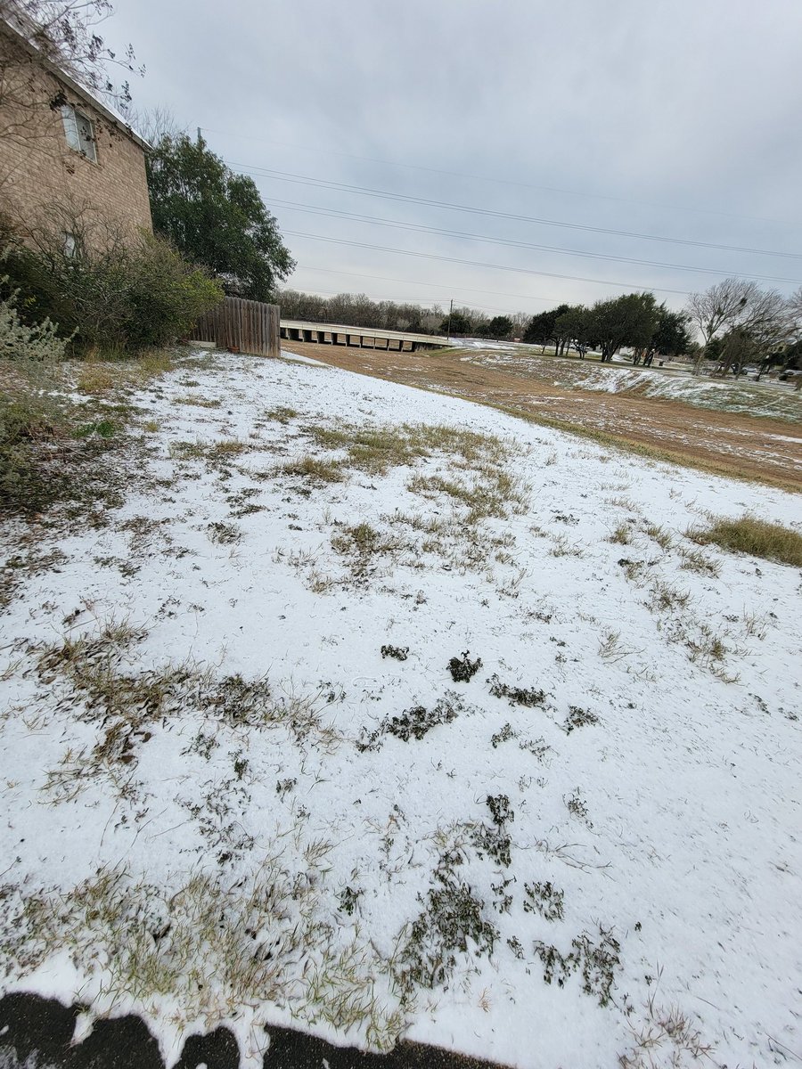 Joseph Lamanna tweet media