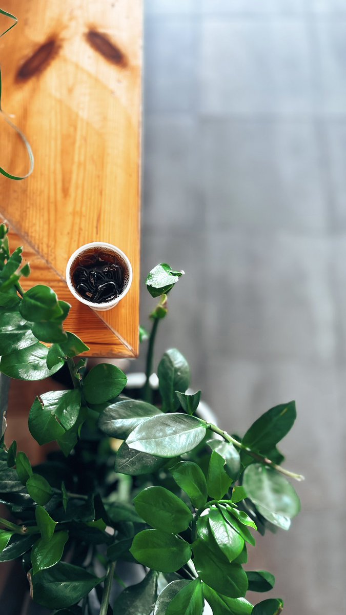 بندر الشريهي tweet media