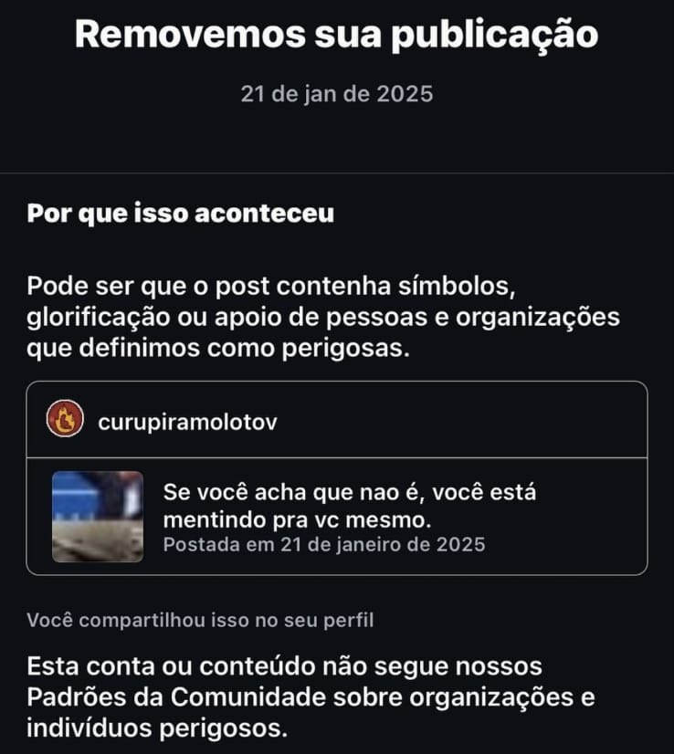 André Janones tweet media