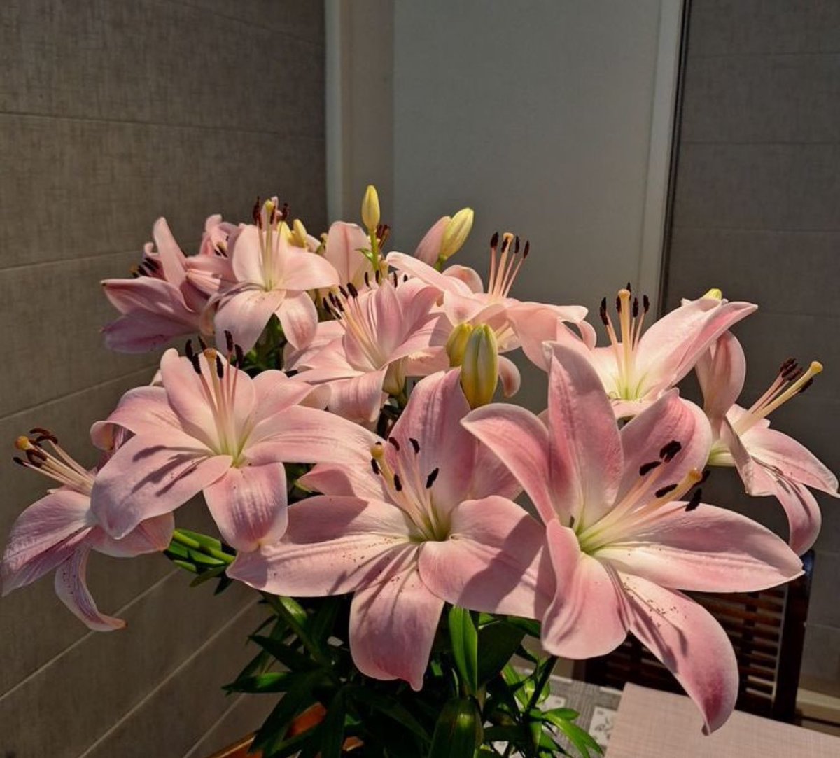 Lilies
