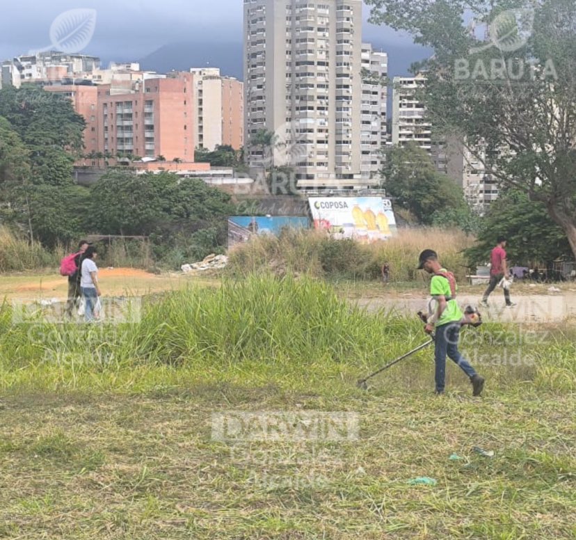 AlcaldiaBaruta's tweet photo. ¡La cuadrilla de #ÁreasVerdes está trabajando en los siguientes sectores de #Baruta:

🍃 Desmalezado
📍 Urb. #SantaAna, calle Cumaná
📍Urb. #SantaFeSur, calle Luna

🍃 Recolección de desechos sólidos
📍 #Limonera

🍃 Saneamiento ambiental
📍 #LasMinasDeBaruta, calle Las Minitas https://t.co/FogFlU88em