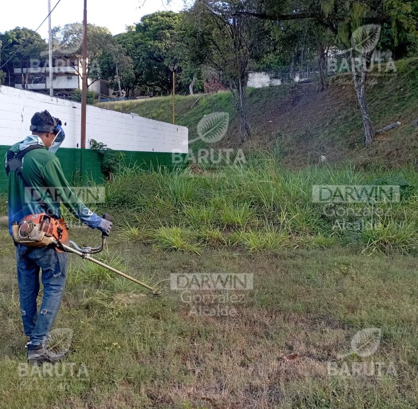 AlcaldiaBaruta's tweet photo. ¡La cuadrilla de #ÁreasVerdes está trabajando en los siguientes sectores de #Baruta:

🍃 Desmalezado
📍 Urb. #SantaAna, calle Cumaná
📍Urb. #SantaFeSur, calle Luna

🍃 Recolección de desechos sólidos
📍 #Limonera

🍃 Saneamiento ambiental
📍 #LasMinasDeBaruta, calle Las Minitas https://t.co/FogFlU88em