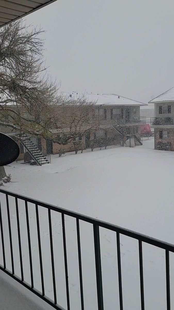 watermasterzee's tweet photo. IT'S SNOWING! I'M SO HAPPY! #winterwonderland #frozentexas https://t.co/XdSD6LX4zK