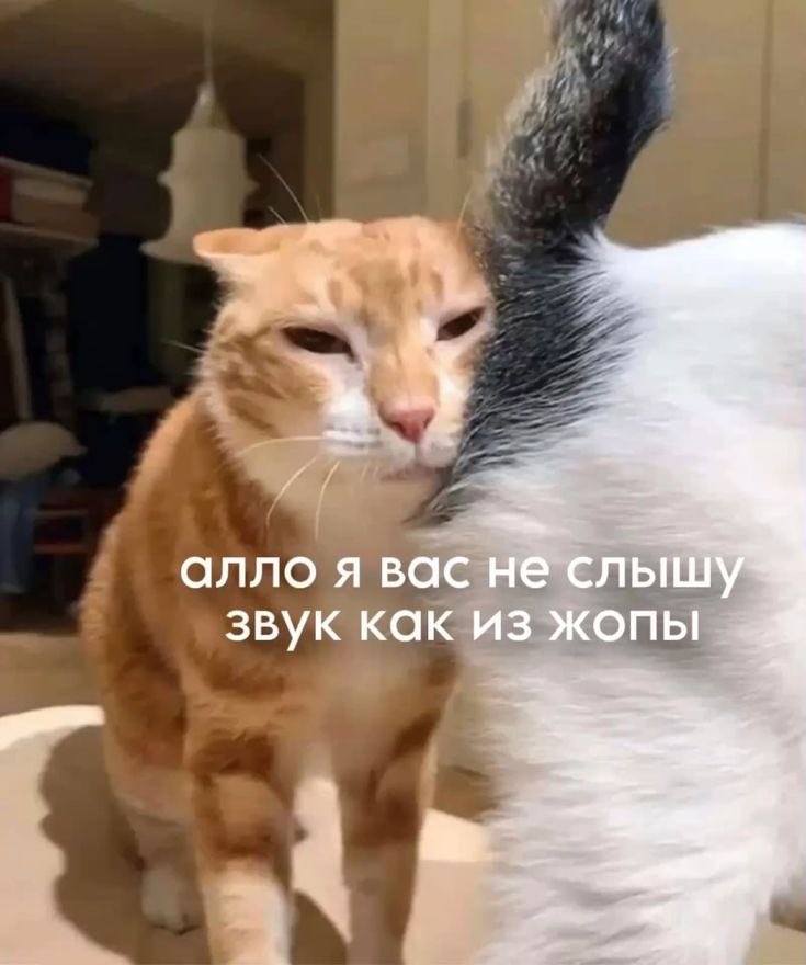 джокер (@oceangiven) on Twitter photo 
