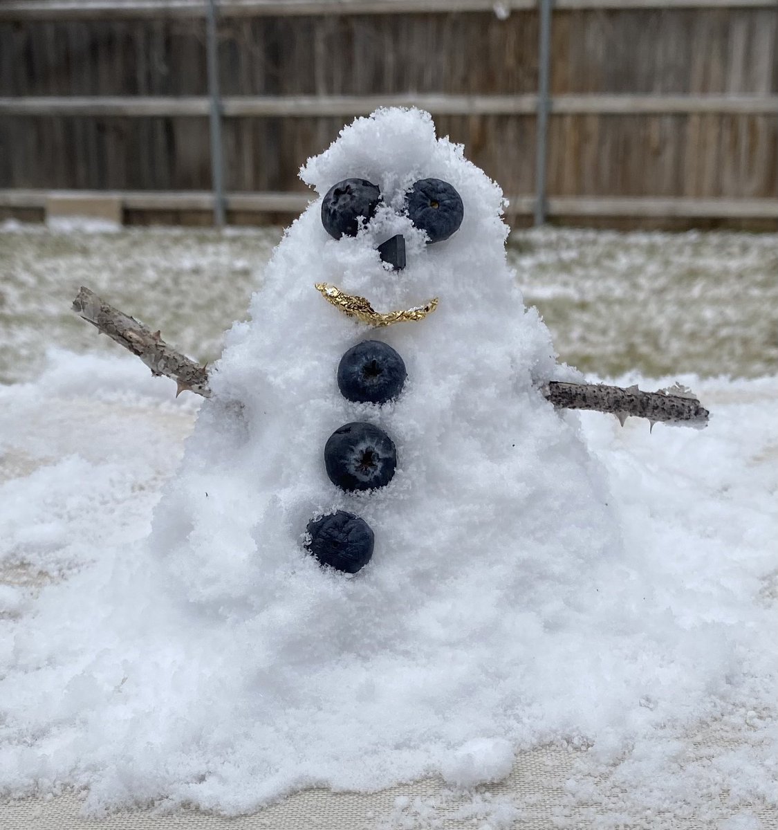 SNOW!!  we will be CLOSED today, Tuesday, January 21st.  Everyone stay safe and warm!!  ❄️⛄️