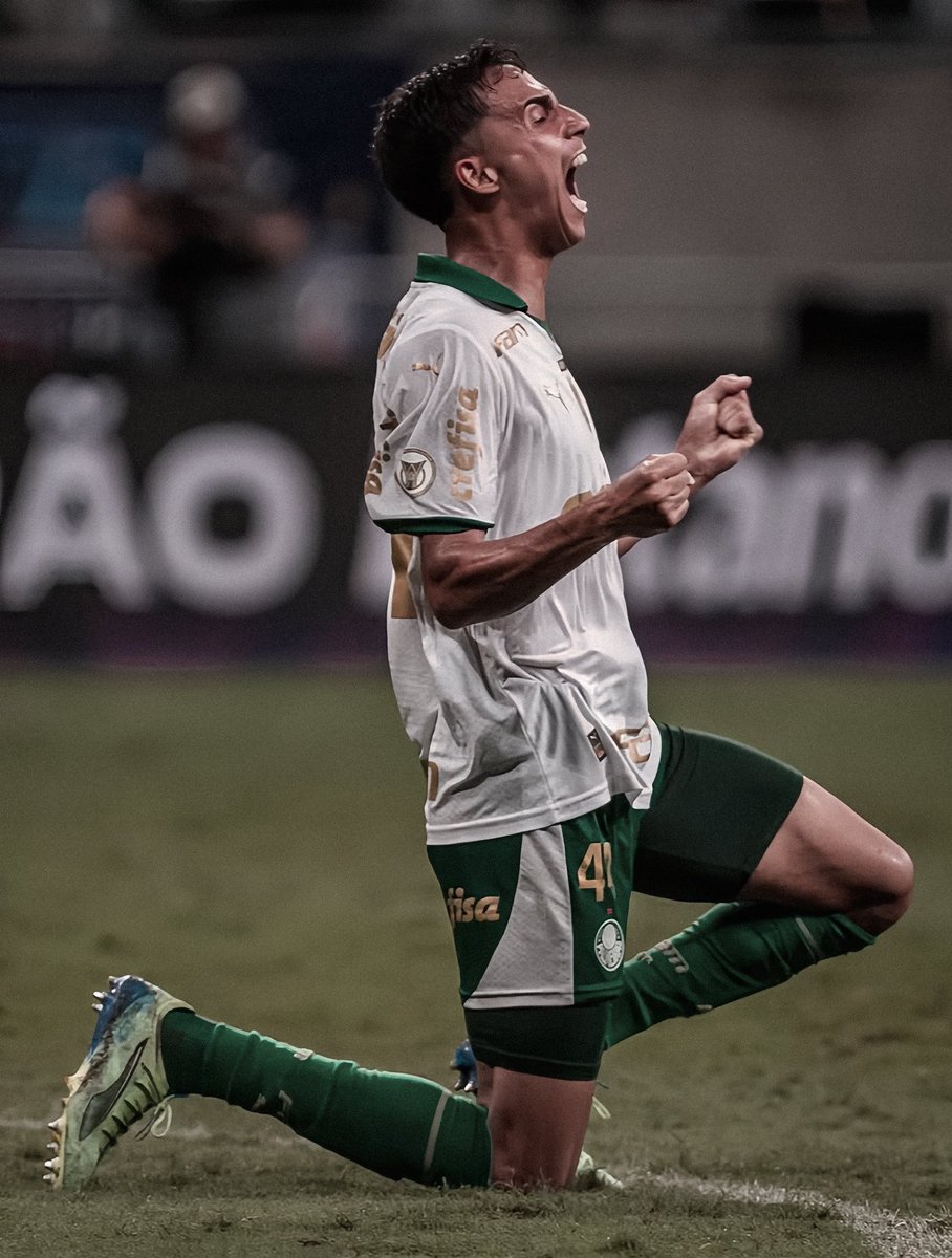 picmeiras's tweet photo. obrigado, Vitor Reis! 💚 https://t.co/uXULMdwtsG