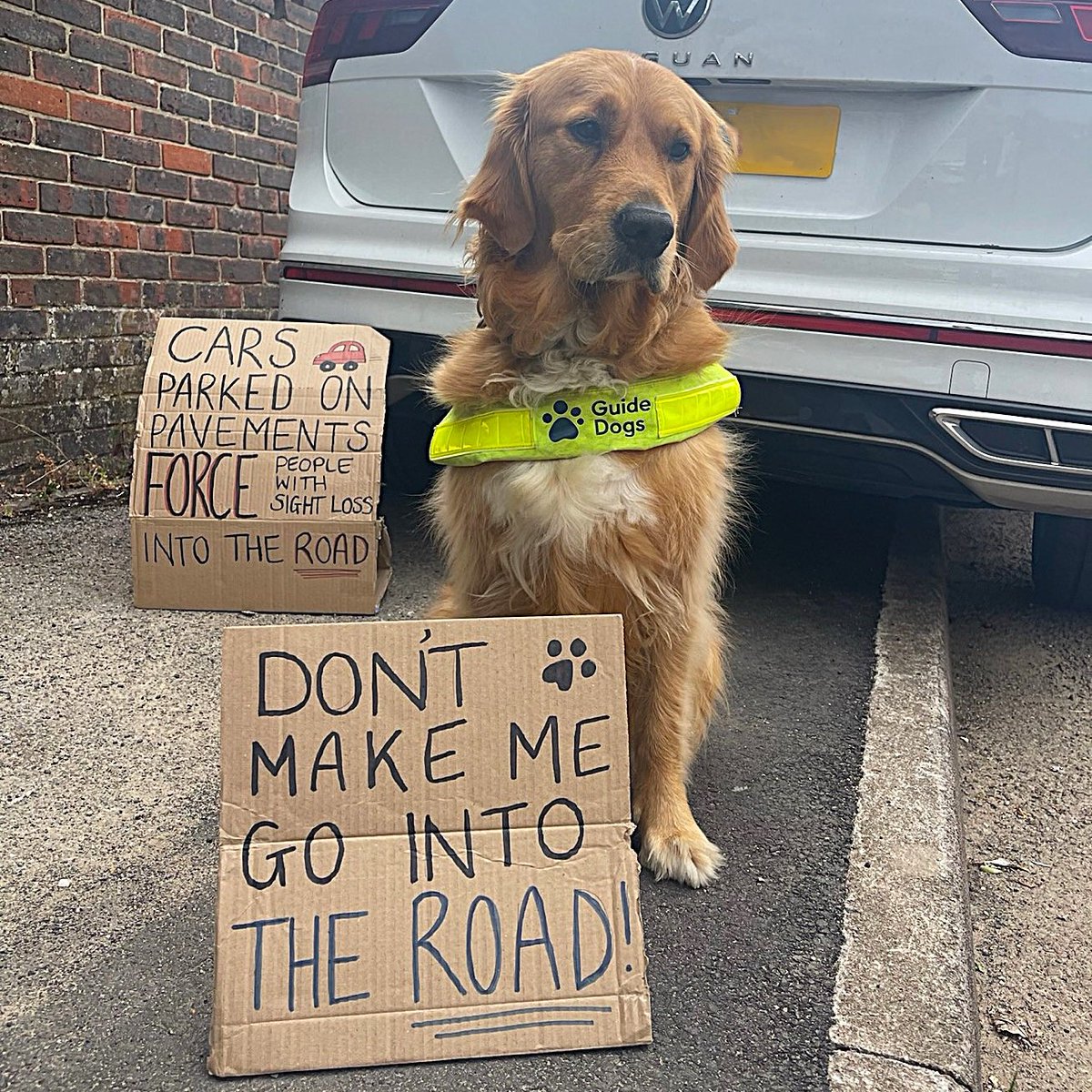 Last chance - closing 27th January! Please sign our open letter to party leaders and ask them to make tackling pavement parking a priority 👉 bit.ly/3x8YZyX (1/2) 👇