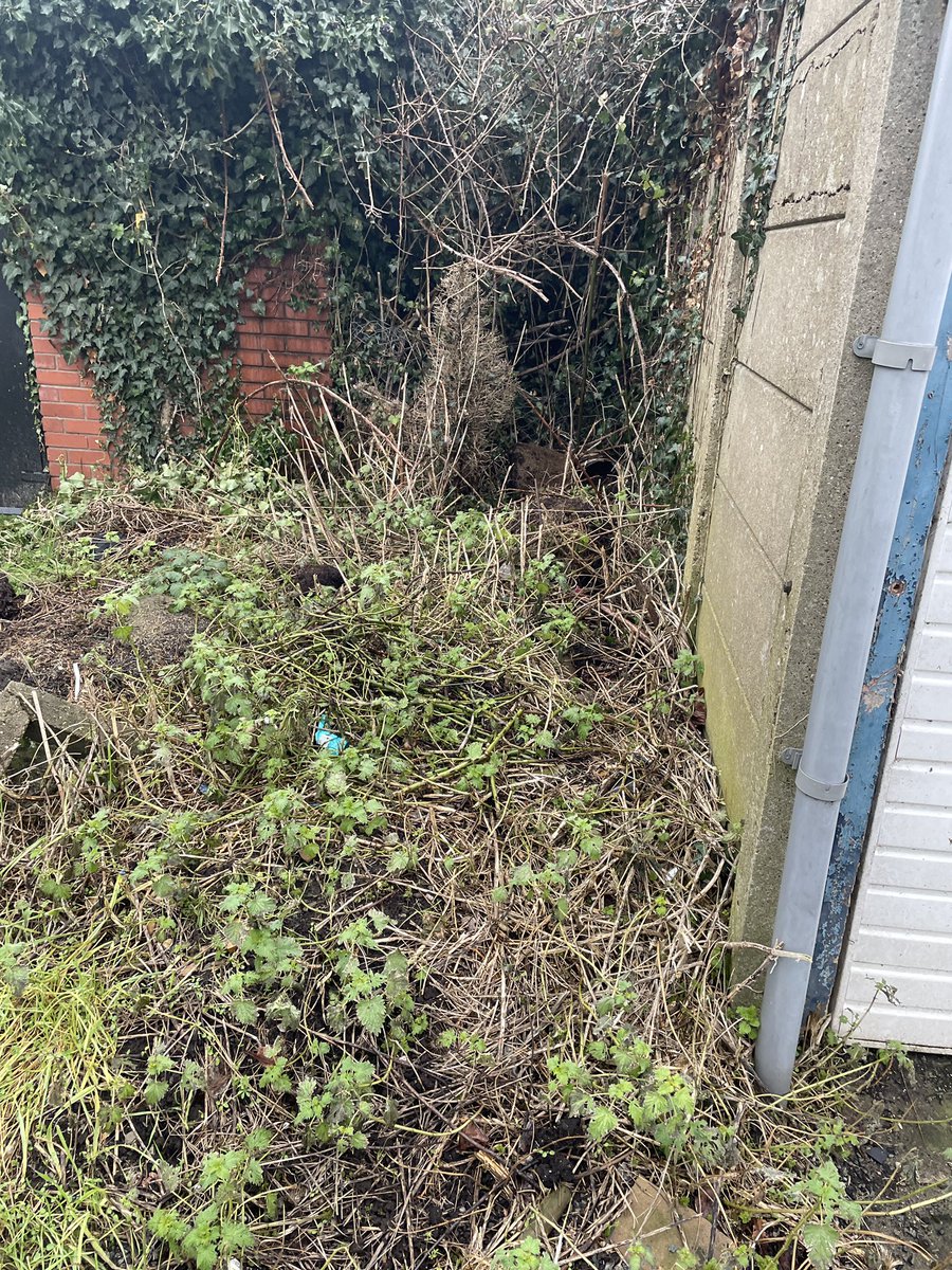 richards_james's tweet photo. Still nothing been done @hawthornviewgarages @sealand @chrisjones4seal sick of reporting it NOW ! https://t.co/n6TTeFDNSb