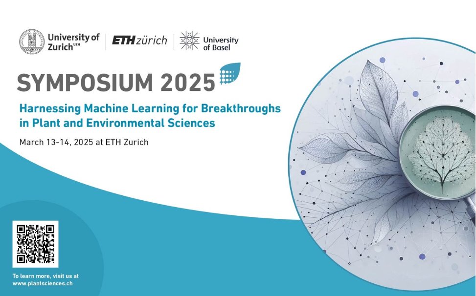 Mirela Beloiu Schwenke tweet media