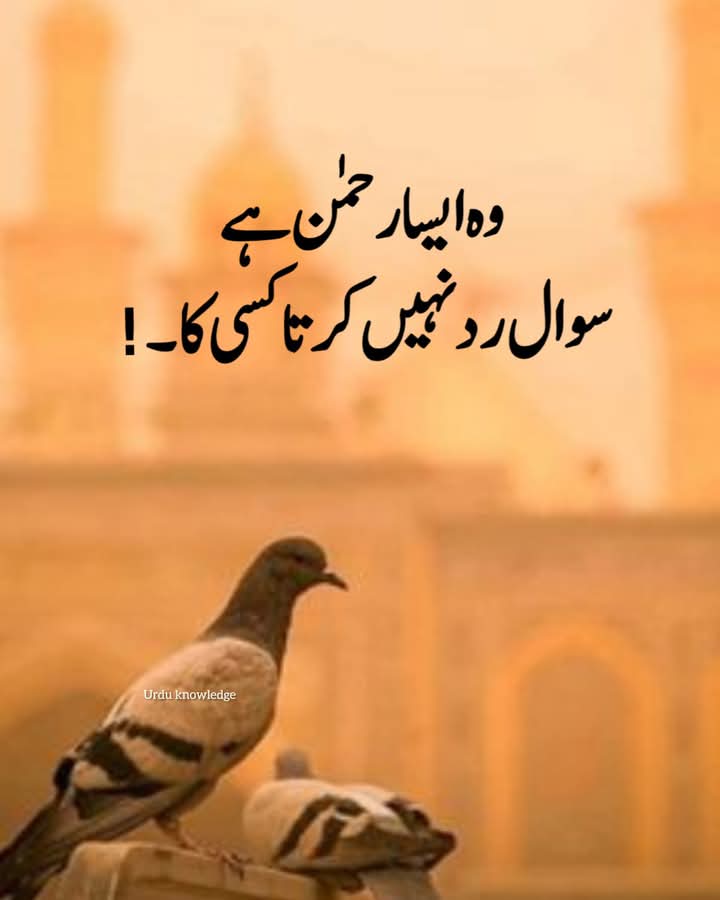 ullah_afham's tweet photo. @M_Rehan_K https://t.co/lc9HDuhLoA