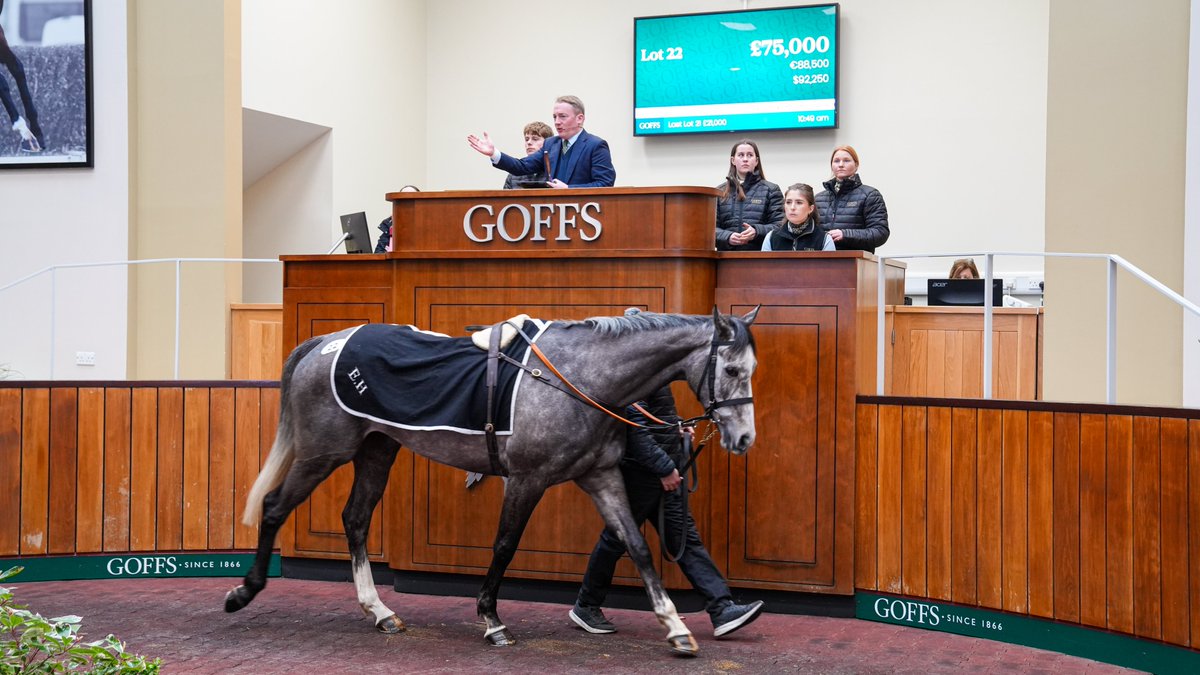 Goffs UK (@goffsuk) on Twitter photo Lot 22 Johnny's Jury, an unraced 5YO Jukebox Jury gelding who is a half-brother to multiple G1 winner APPRECIATE IT, is knocked down to <a href="/TMBloodstock/">TomMaloneBloodstock</a> & <a href="/jamiesnowden/">Jamie Snowden</a> for £75,000.🤝
Consigned by <a href="/EllmarieHolden/">Ellmarie Holden</a> as part of the annual Holden Dispersal. Lot 22 Johnny's Jury, an unraced 5YO Jukebox Jury gelding who is a half-brother to multiple G1 winner APPRECIATE IT, is knocked down to <a href="/TMBloodstock/">TomMaloneBloodstock</a> & <a href="/jamiesnowden/">Jamie Snowden</a> for £75,000.🤝
Consigned by <a href="/EllmarieHolden/">Ellmarie Holden</a> as part of the annual Holden Dispersal.