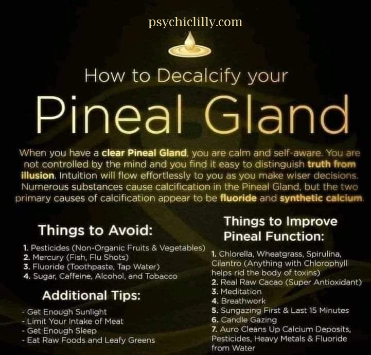 mypsychiclilly's tweet image. 👁️

psychiclilly.com/third-eye-acti…

#psychiclilly #pinealgland #pinealglandactivation #thirdeye #thirdeyeawakening #thirdeyechakra #thirdeyeopen #psychic #psychicreadings #psychicreader #psychicreadingsonline