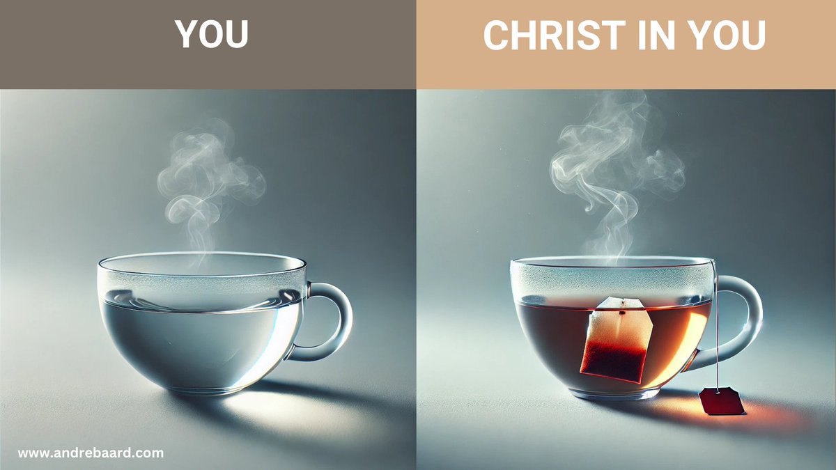 andre baard (@andre_baard) on Twitter photo 