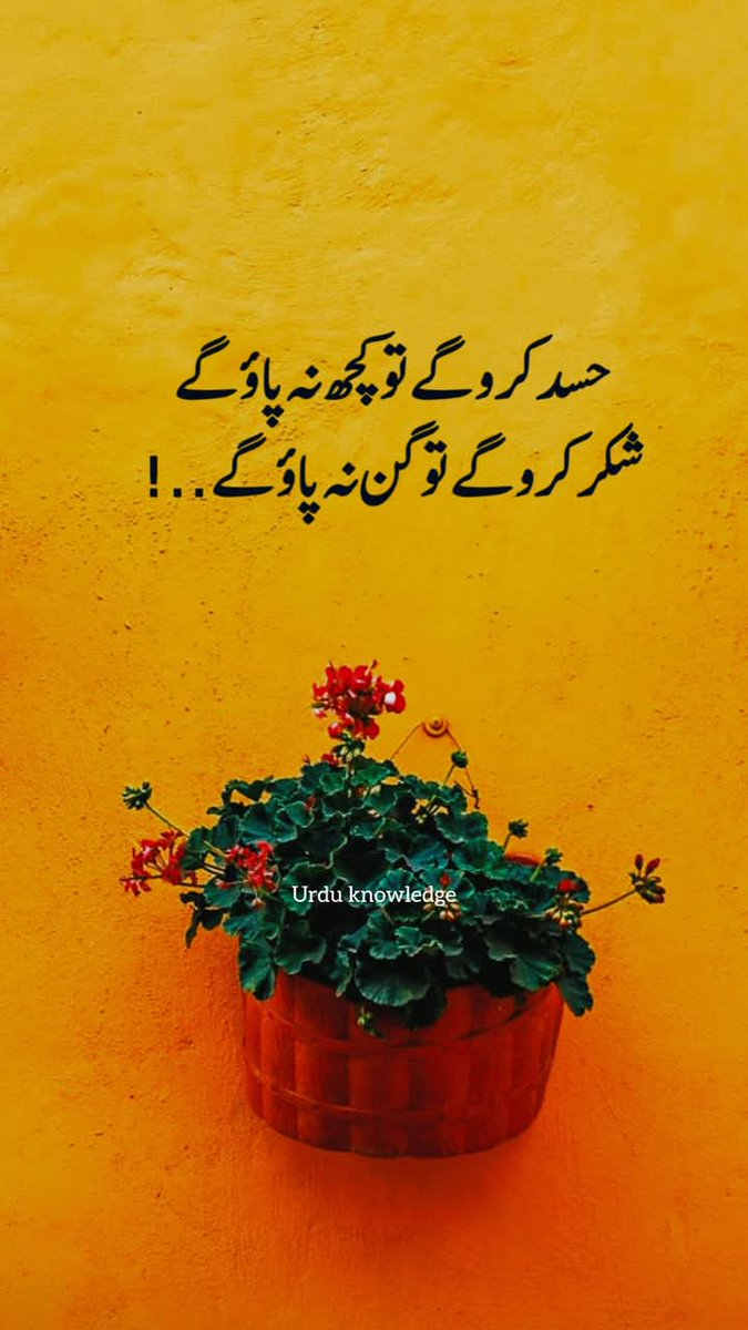 ullah_afham's tweet photo. @M_Rehan_K beshak https://t.co/cLh9KODQMA
