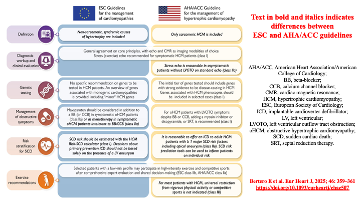 Raviele Antonio (@drraviele) on Twitter photo 📌 MNGT of #Hypertrophic #Cardiomyopathy 🫀
👉 ESC 🇪🇺 vs AHA/ACC 🇺🇸 #guidelines
#CardioTwitter #MedTwitter #SCD <a href="/SeguraCardio/">Diego Segura-Rodríguez</a> #SportsCardiology <a href="/IacopoOlivotto/">iacopo olivotto</a> <a href="/purviparwani/">Dr. Purvi Parwani</a> <a href="/ErinMichos/">Erin D. Michos, M.D.</a> <a href="/mmamas1973/">Mamas A. Mamas</a> <a href="/Hragy/">Hany Ragy</a> <a href="/CRY_UK/">CRY</a> <a href="/MichaelEmeryMD/">Michael Emery, MD, MS</a> @DavidNiederseer <a href="/DrMarthaGulati/">Dr. Martha Gulati ♥️🫀❤️🩹🇨🇦</a> <a href="/SSharmacardio/">Sanjay Sharma</a> 📌 MNGT of #Hypertrophic #Cardiomyopathy 🫀
👉 ESC 🇪🇺 vs AHA/ACC 🇺🇸 #guidelines
#CardioTwitter #MedTwitter #SCD <a href="/SeguraCardio/">Diego Segura-Rodríguez</a> #SportsCardiology <a href="/IacopoOlivotto/">iacopo olivotto</a> <a href="/purviparwani/">Dr. Purvi Parwani</a> <a href="/ErinMichos/">Erin D. Michos, M.D.</a> <a href="/mmamas1973/">Mamas A. Mamas</a> <a href="/Hragy/">Hany Ragy</a> <a href="/CRY_UK/">CRY</a> <a href="/MichaelEmeryMD/">Michael Emery, MD, MS</a> @DavidNiederseer <a href="/DrMarthaGulati/">Dr. Martha Gulati ♥️🫀❤️🩹🇨🇦</a> <a href="/SSharmacardio/">Sanjay Sharma</a>