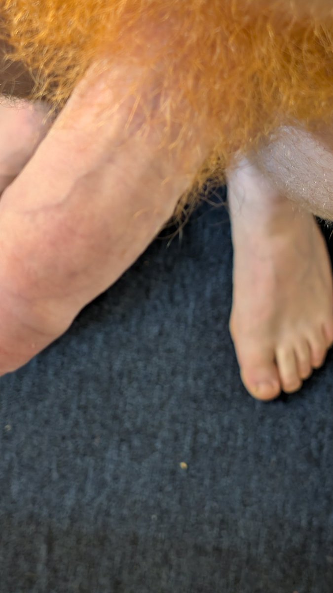 XXXYYZZZ0 tweet media