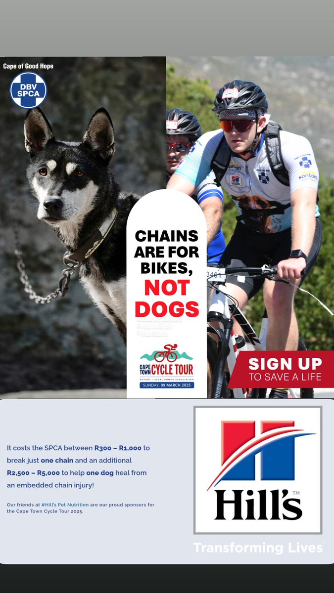 Angel Campey tweet media