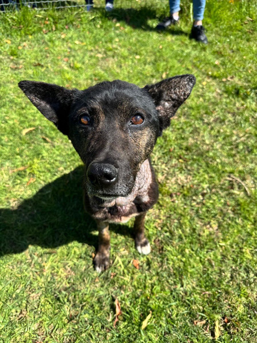 Angel Campey tweet media