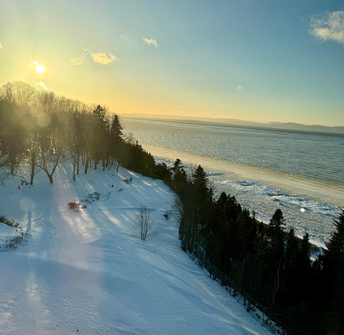 Jacques Gauthier tweet media