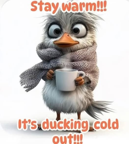 Lorraine Horan (@littlione) on Twitter photo 