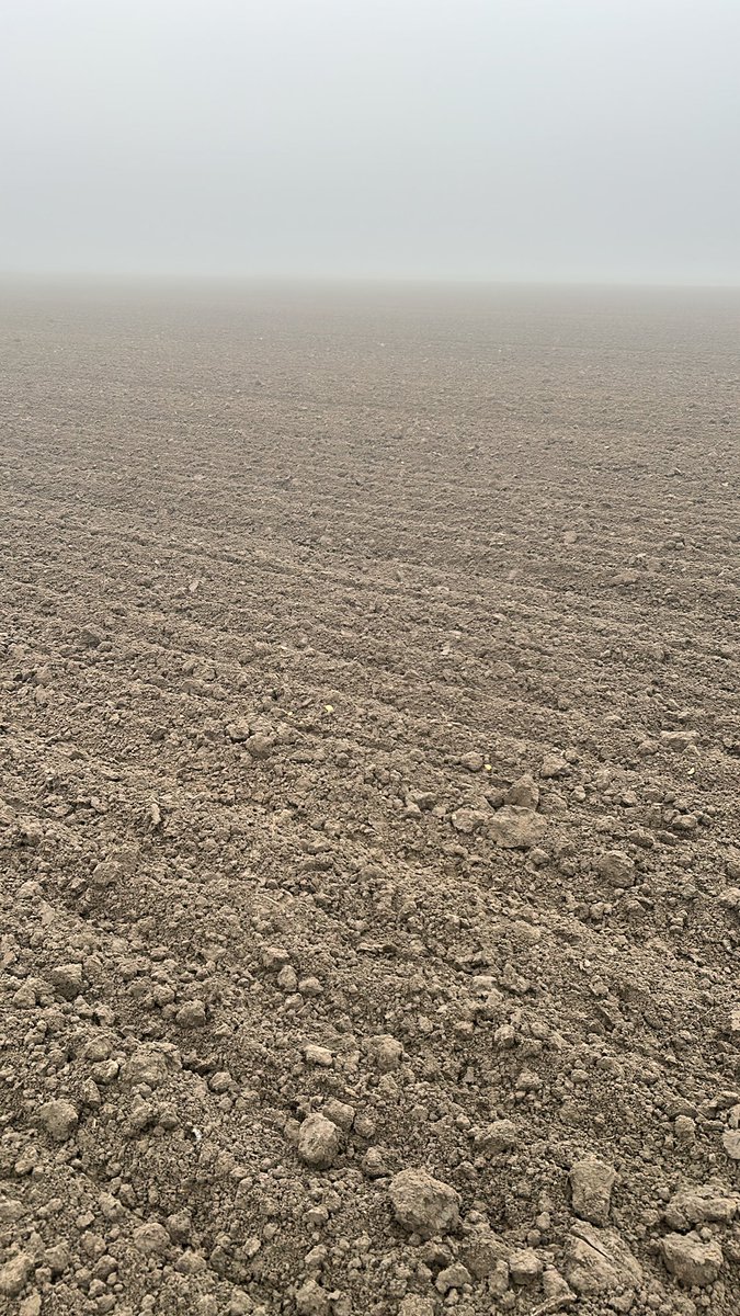 Kleine wereld vandaag! Maar het planten van de 2-jaars Plantuien gaat keurig! #uien #akker #oogst25 <a href="/AkkerTweet/">Akkerwijzer.nl</a> #flakkee