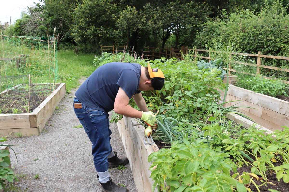 We are excited to start further work in Connah's Quay with the funding recieved from the Parc Adfer Community Fund. We will be transforming green spaces &amp; alleyways into sustainable, community-focused environments.

Read more shorturl.at/ViQGp
#Deeside #Sustainable