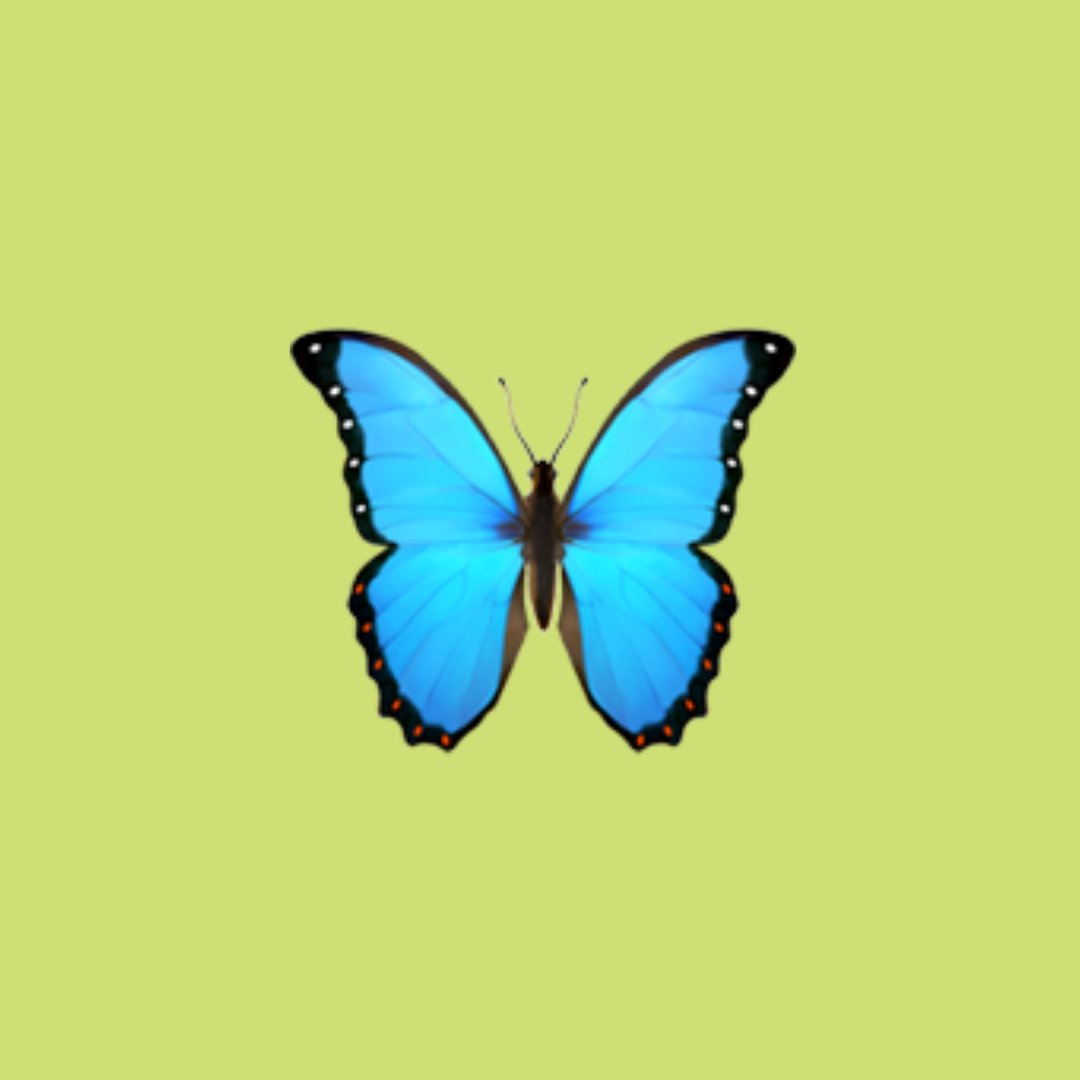 Yonodesperdicio tweet media