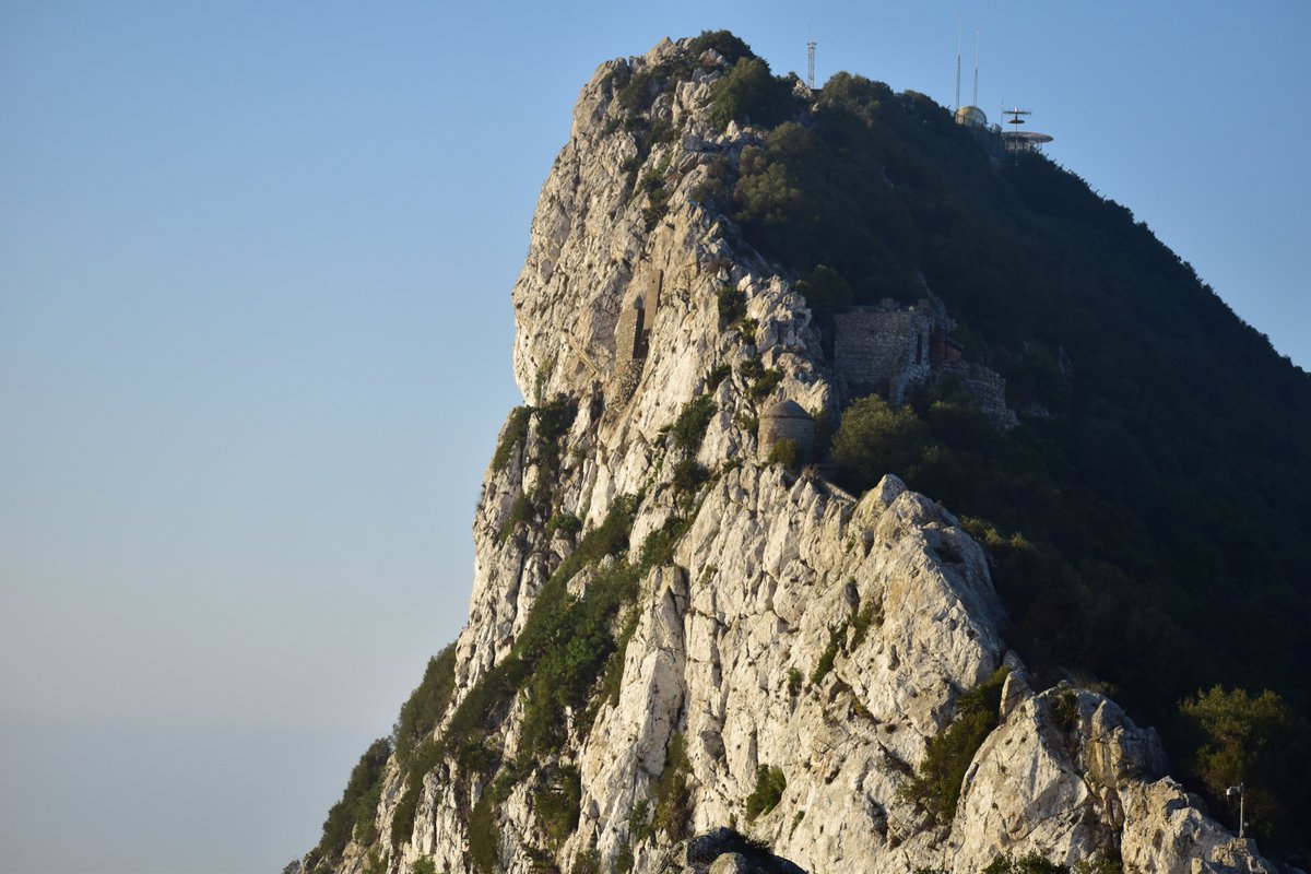 The Gibraltar Macaques Project is now live on Bluesky ! @gibmacproj.bsky.social 
We'll keep posting here but slowly will definitely migrate to Bluesky. So please create your account and follow us !