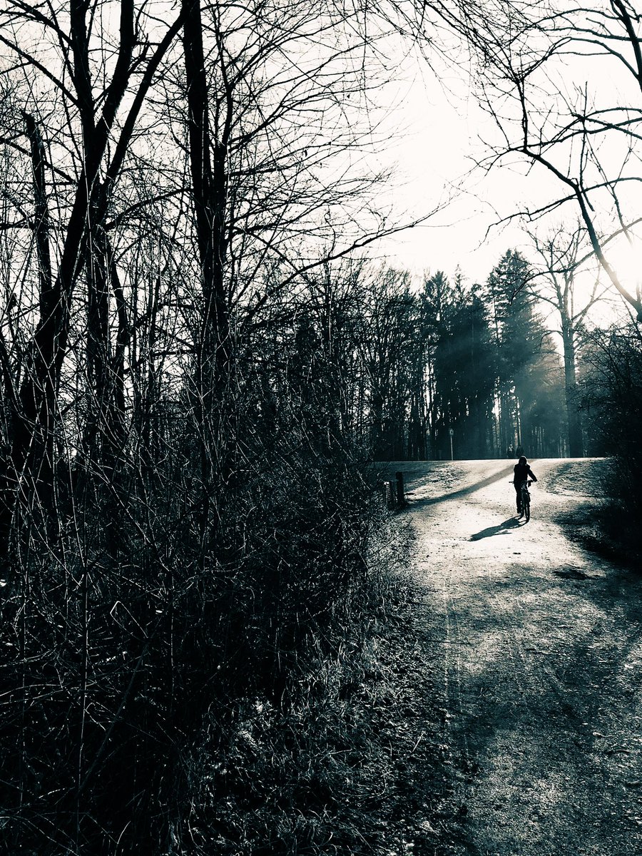 UK250463's tweet photo. Downhill
#Forest #cyclist #shadow #landscapes #Streetphotography #GoodDayEveryone https://t.co/BCX2XbN7Ck