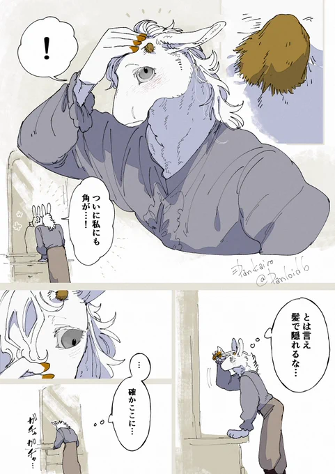 ツノ 