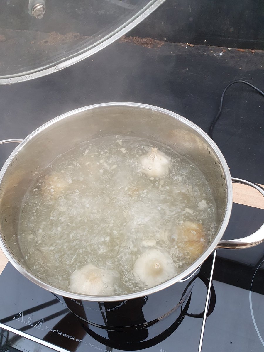 Sienna Hosta tweet media